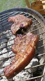 ラグビーと切っても切れないのがブライ(Braai)、南ア版バーベキュー (筆者撮影)