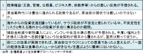 【図表3】ビジョンの実現に否定的な意見（出所：各種報道より住友商事グローバルリサーチ作成）