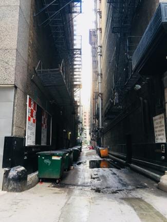 延焼防止の小道(alley)とアメリカンサイズのゴミ箱(dumpsters)（筆者撮影）