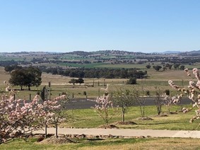 カウラ Cowra の捕虜収容所跡地（筆者撮影）