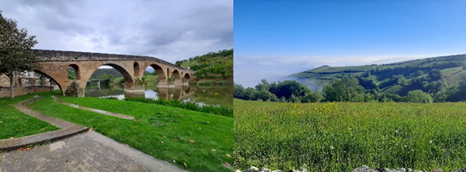 左：プエンテ・ラ・レイナ（王妃の橋）、右：巡礼路「フランス人の道」沿いの風景（撮影：ルイス・セルバンテス）