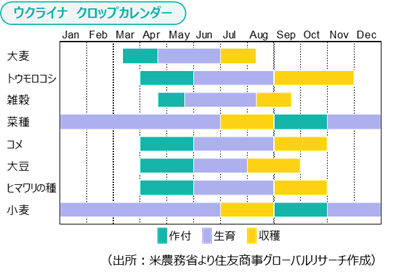 ウクライナクロップカレンダー（出所：米農務省より住友商事グローバルリサーチ作成）