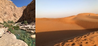 山間のオアシス、ワディシャブ（左）；サラサラの砂が心地よい砂漠（右）（共に筆者撮影）