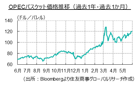 「北欧2か国のNATO加盟に反対の姿勢を崩さないトルコ」中東フラッシュレポート(2022年5月後半号)