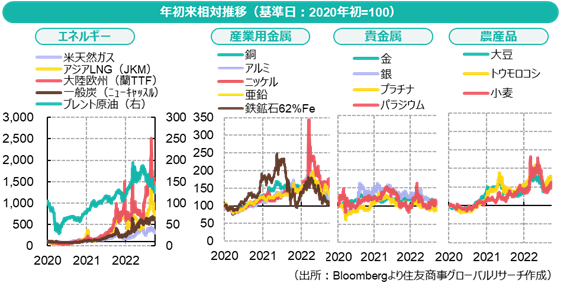 年初来相対推移（基準日：2020年初=100）（出所：Bloombergより住友商事グローバルリサーチ作成）
