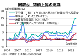 図表⑤　物価上昇の認識