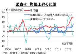図表⑥　物価上昇の記憶