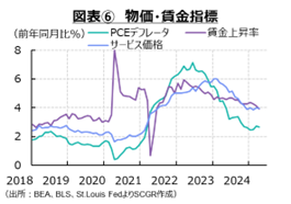 図表⑥　物価・賃金指標