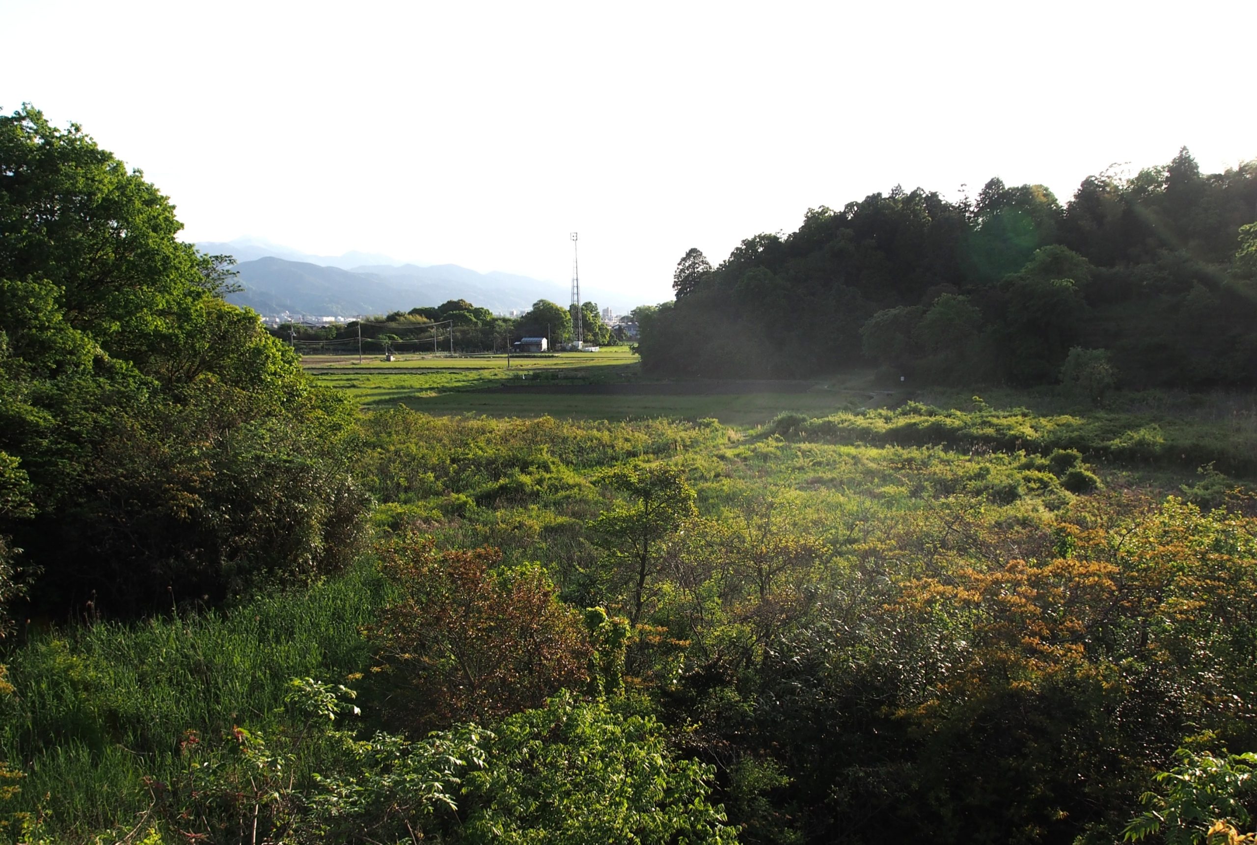 静かに進行する国内食料生産の危機